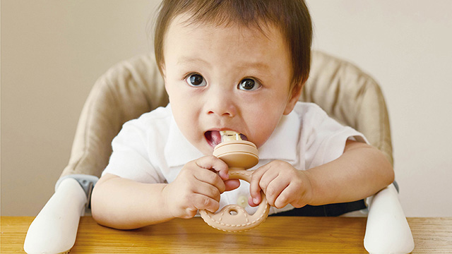 もぐかみBaby くまちゃん