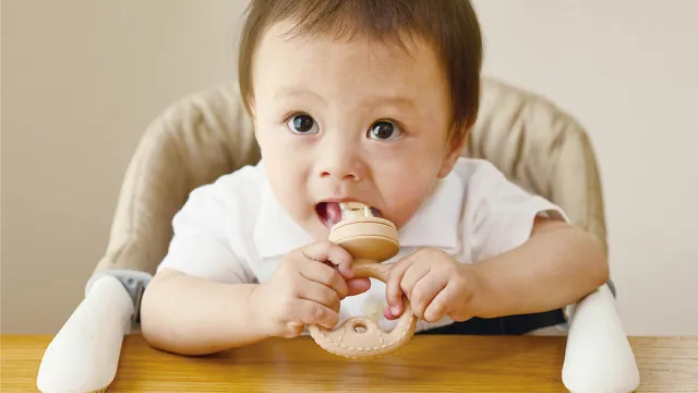 もぐかみBaby_くまちゃん