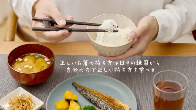 エジソンのお箸ラストステップ　大人用