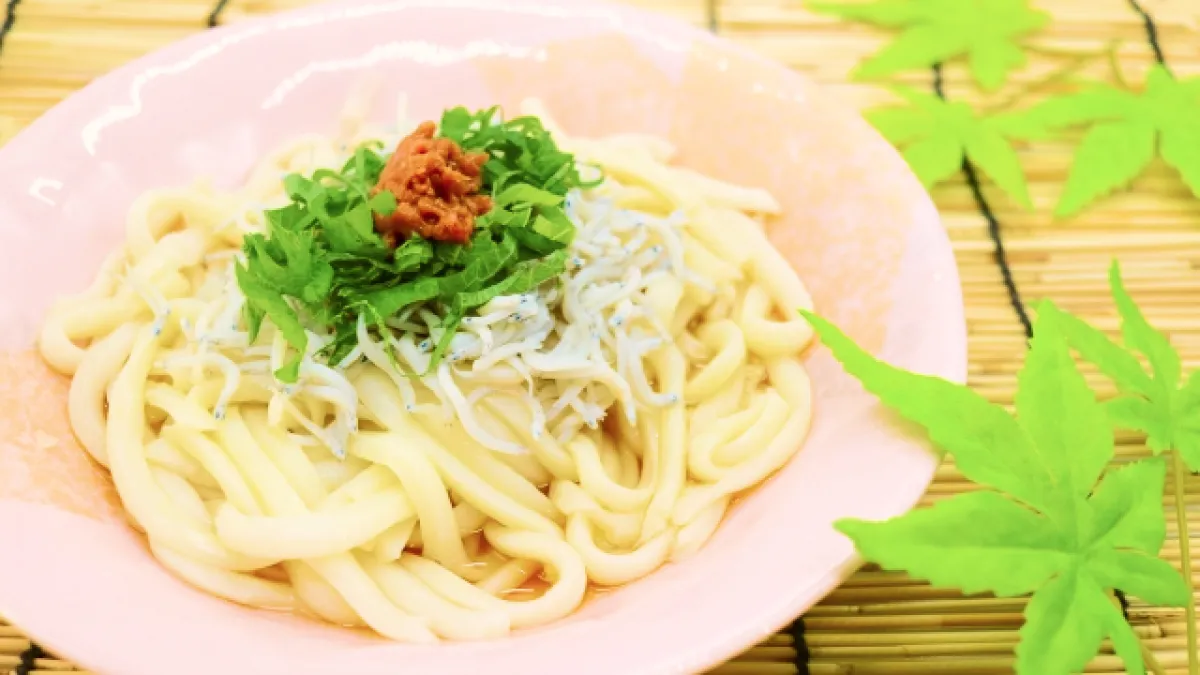 2024年の土用の丑の日_何食べる？子どもと一緒にうどん_03