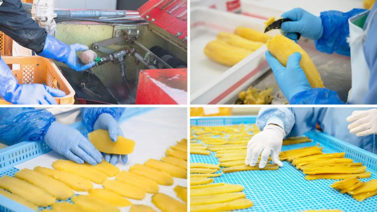 スプーン食べ練習に!食事マナーも自然と身につく【フードキャッチャー】新発売