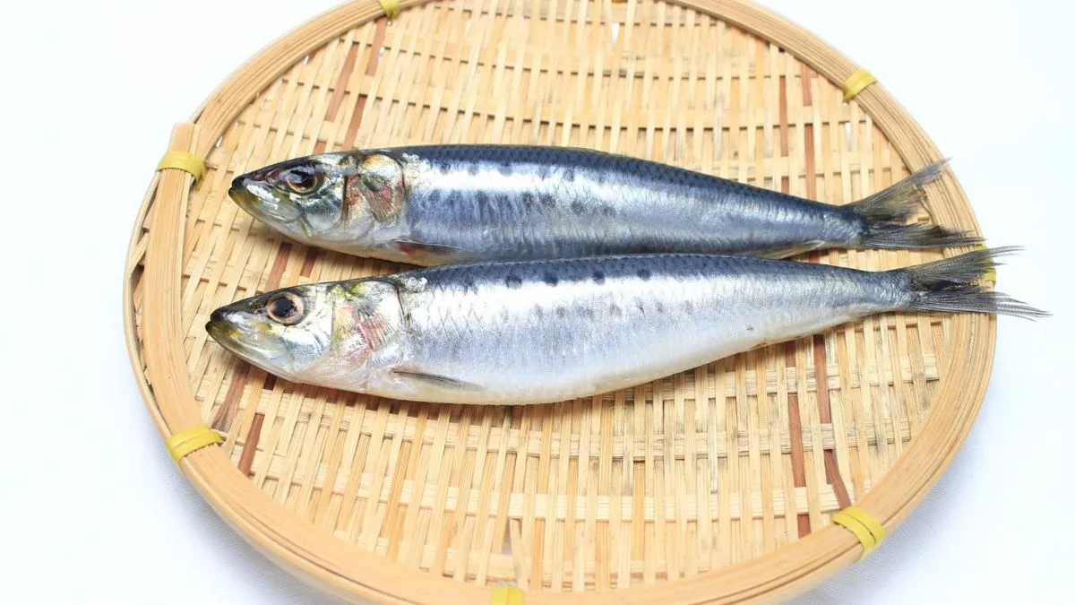 「魚嫌い」もう悩まない！子どもの脳を育む魚の栄養とパクパク食べる工夫