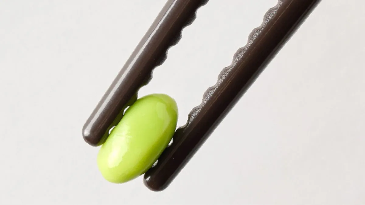 正しく美しく”持てるお箸 【エジソンのお箸ラストステップ 大人用】