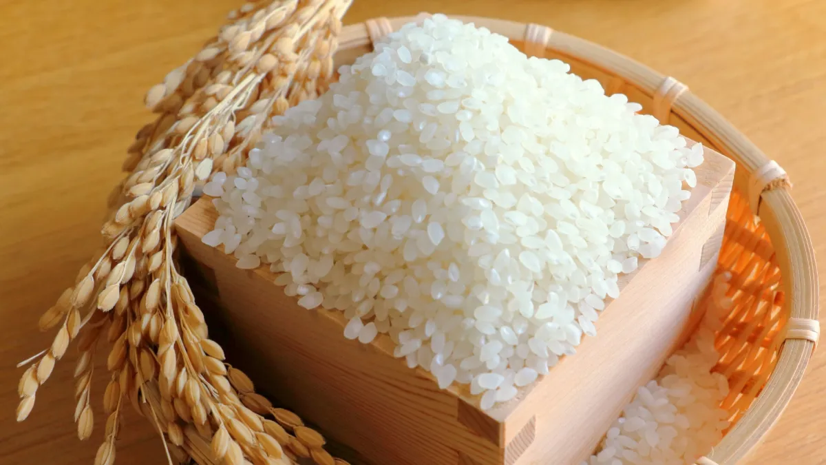 【専門家解説】秋の花粉症に悩むママ・パパへ─薬に頼らないやさしいケア