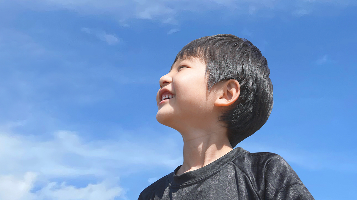 【2026年最新版】保育士資格保持者が正直レビュー タイプ能力・能力別知育玩具厳選5つ ~6歳編~