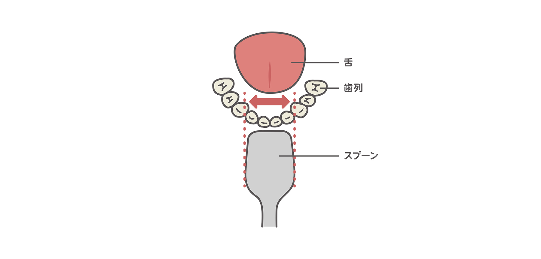 口内とスプーンの説明図